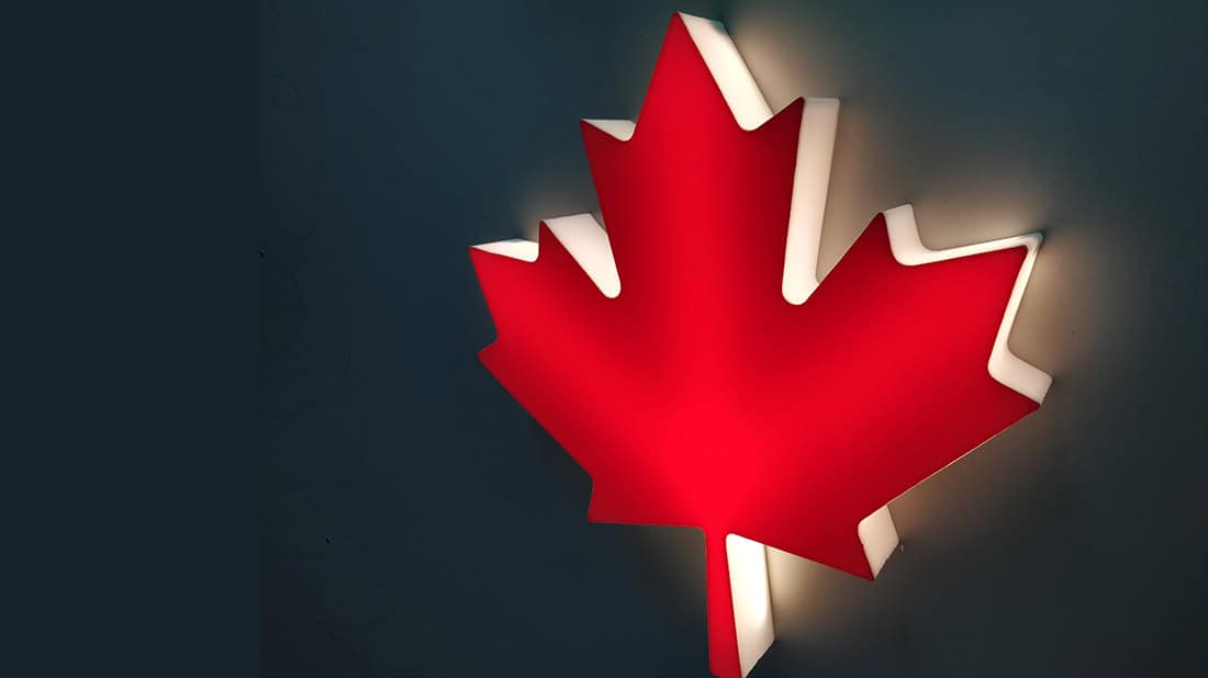 Lámpara 3D en forma de hoja de arce de Canadá, iluminación LED moderna y decorativa, ideal para espacios interiores con diseño original.